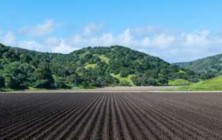 An agricultural field with rows for irrigation and a green hill in the background