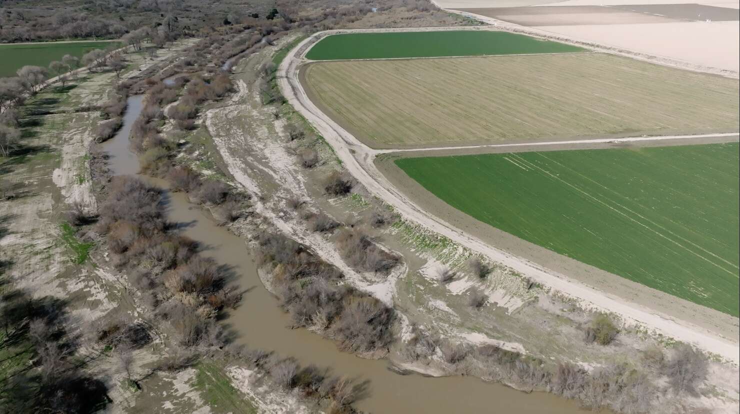 A creek next to an agricultural field