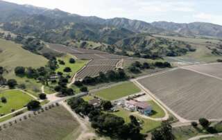 Winery in Salinas Valley