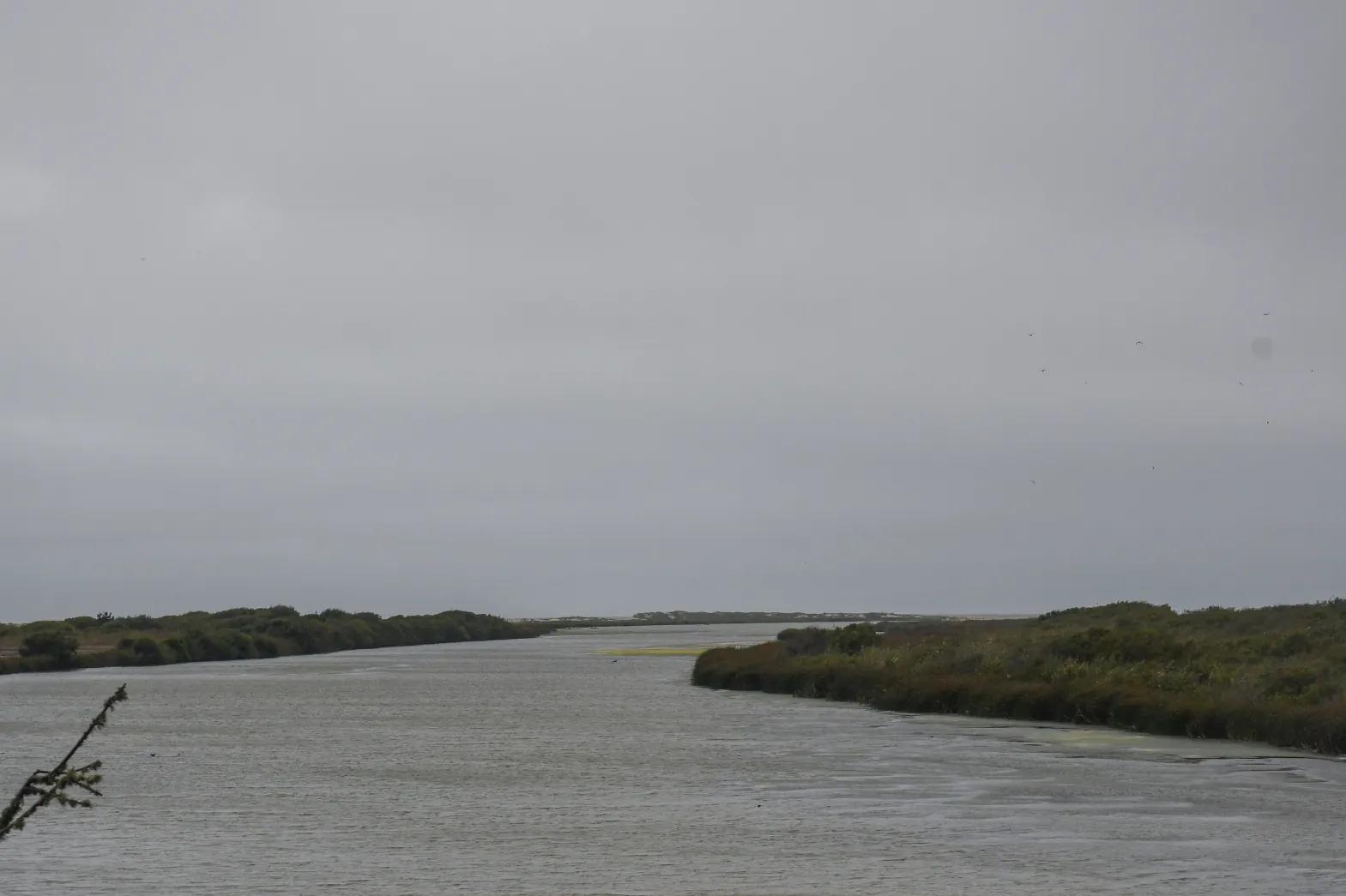 A freshwater outlet to the sea on a cloudy day